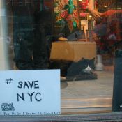 Reminiscence on 5th Avenue, with the sweet shop kitty.
Photo by Romy Ashby