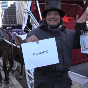 Central Park Carriage Driver Photo by Sandi Bachom