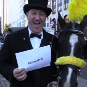 Steve Malone, second generation Central Park Carriage Driver Photo: Sandi Bachom
